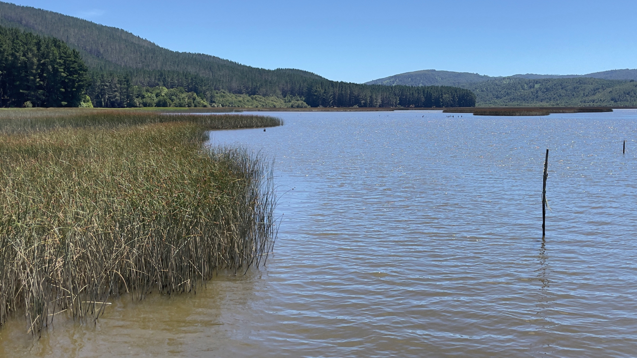 Región de Los Rios , Proyecto parcelado vendo.  .
